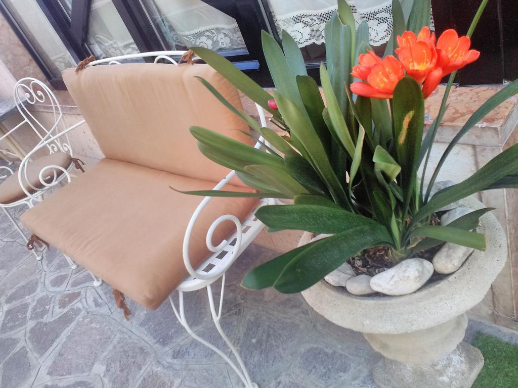 ברדולינו Hotel Orchidea מראה חיצוני תמונה